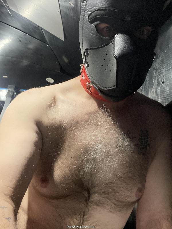 Timothy.James Gay Escort Melbourne 0449075400 BoyExpress.com